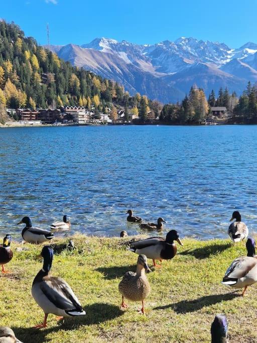 Superbe Appartement Champex-Lac Avec Piscine Et Sauna Екстериор снимка